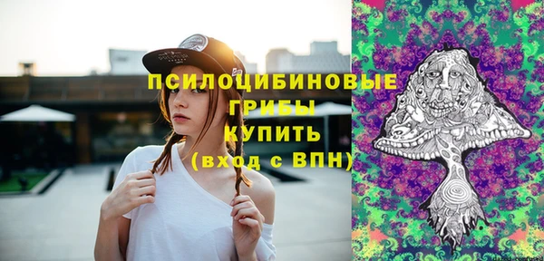 соль ск Абдулино