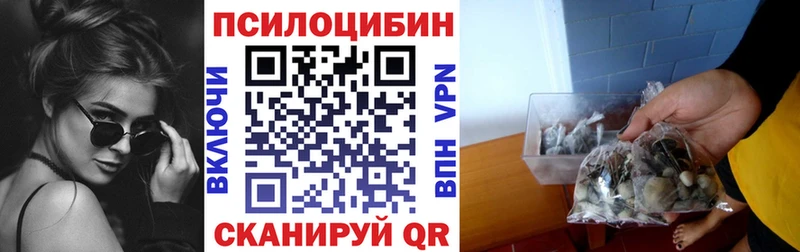 Псилоцибиновые грибы Psilocybine cubensis  Звенигород 